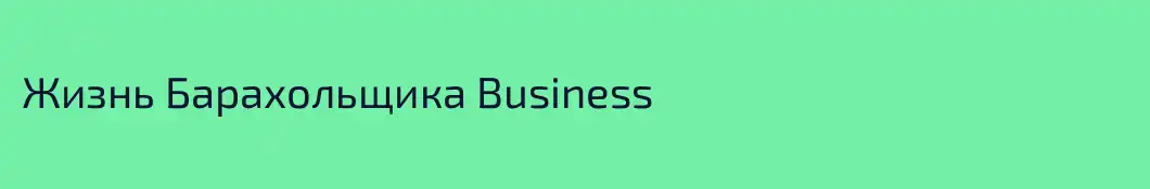 Жизнь Барахольщика Business
